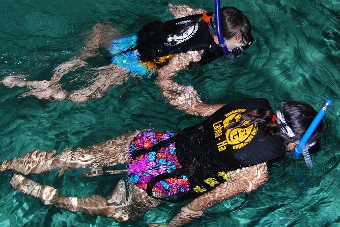 Turtle Snorkeling Adventure from Cancun - Snorkeling in the underground cenote: cool air, clear water, odd shapes
