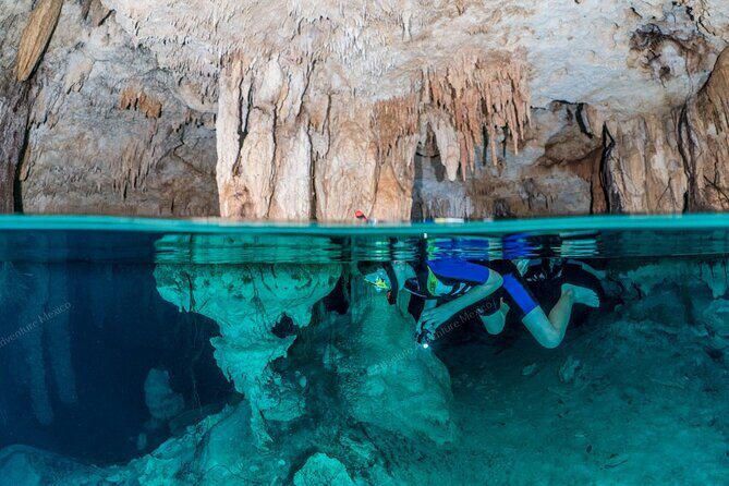 Turtle Snorkeling Private Tour – Sea Turtles & Cenote in Tulum - Parque Dos Ojos and lunch in the jungle