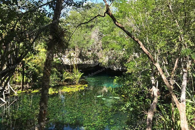 Turtle Snorkeling Private Tour – Sea Turtles & Cenote in Tulum - How to pack for sea turtles plus cenotes
