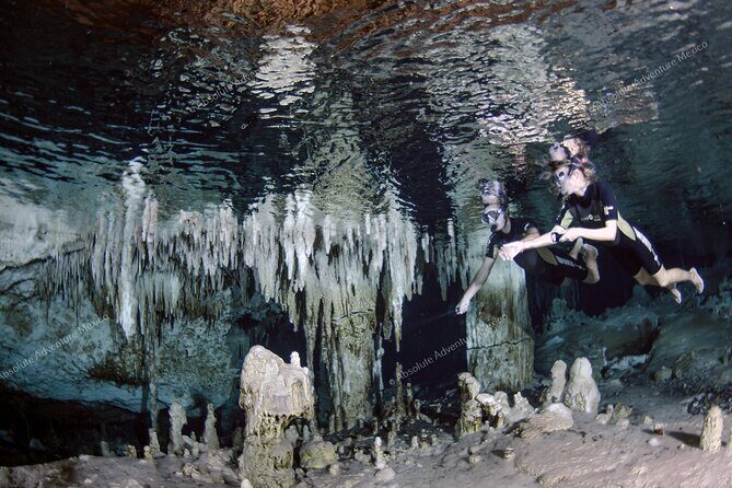 Turtle Snorkeling Private Tour – Sea Turtles & Cenote in Tulum - Who should book this private turtle and cenote combo
