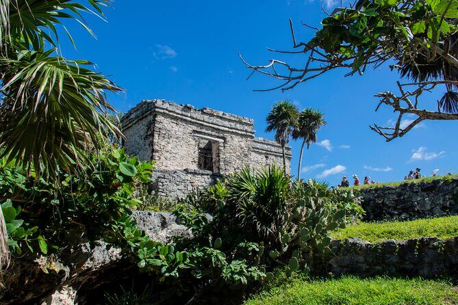 Turtle Swim & Tulum Ruins! With Cenote from Playa del Carmen - Tulum Ruins Plus the Giant Blue Letters Stop