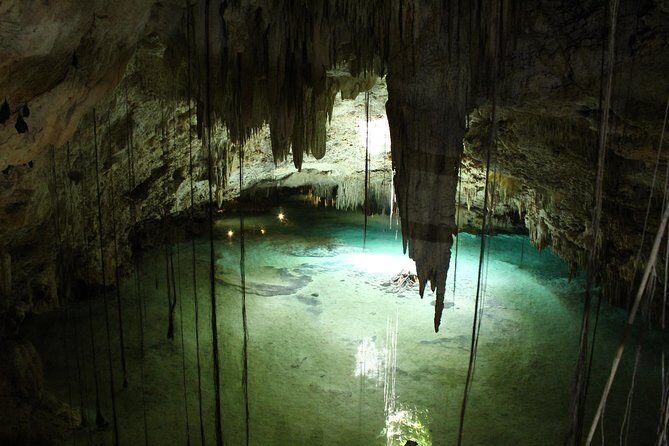 Turtles and Cenote snorkeling activity from Riviera Maya - Price and extras: is $119 good value for this combo?