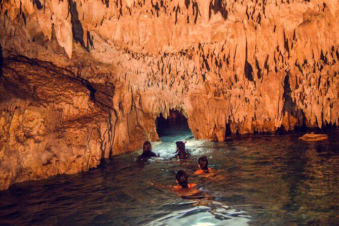 Turtles & Cenote! Half Day from Riviera Maya & Playa del Carmen - Price and value: Is $110 a fair deal?