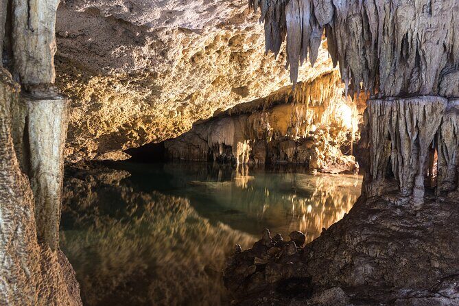 Turtles & Cenote! Half Day from Riviera Maya & Playa del Carmen - Should you book it?