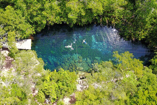 VIP Tulum & Turtles Private Tour - Who this fits best (and when you should think twice)