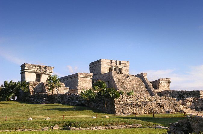 Visit to Tulúm, COBA and a Cenote, with lunch included. - Coba and Nohoch Mul: pyramid views, and how to handle the distance