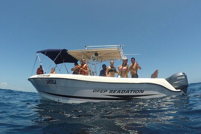 Whale Shark Experience from Playa del Carmen - Price and value: is $49 really fair?