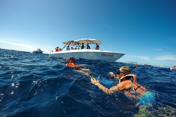 Whale Shark Snorkeling Adventure with Lunch - Whale Shark Snorkeling Gear and Comfort: Small Changes, Big Impact