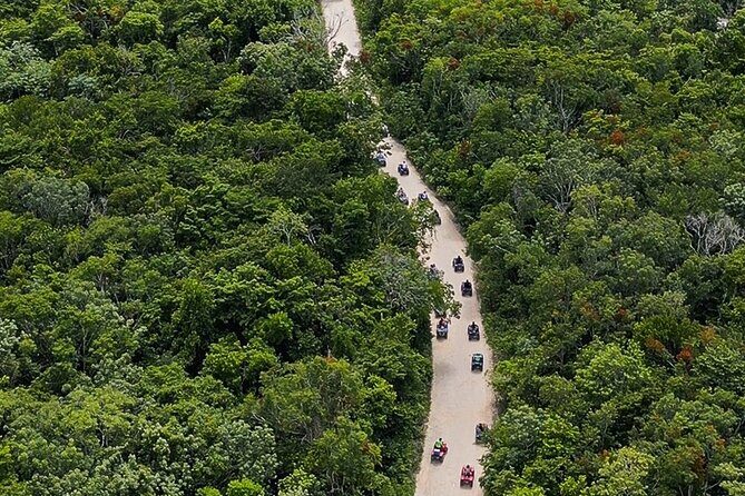 Wild Jungle ATV Adventure with Cenote and Monkey Sanctuary - Stop at the Cenote: Cold, Cave-Style Water and What to Pack