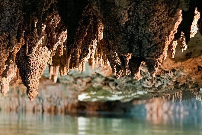Wild Jungle ATV Adventure with Cenote and Monkey Sanctuary - Included Lunch: The One Stop You’ll Appreciate Later