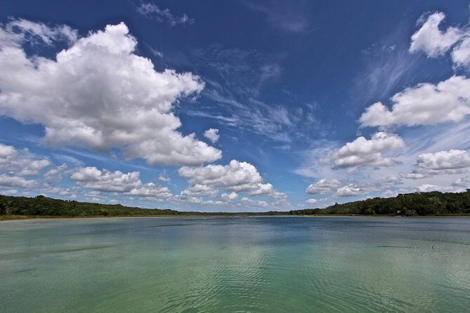 Wild Monkey Adventure (Private, Full Day) - Private tour value: when $244 makes sense