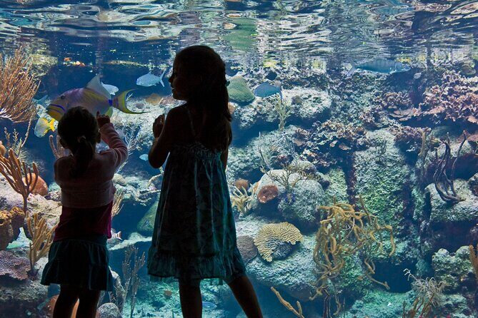Xcaret Park Plus Access with Transportation and Night Show - Three underground rivers: the part you’ll remember