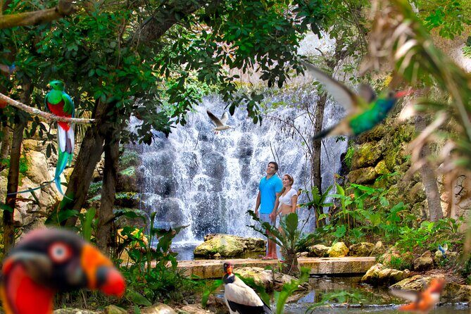 Xcaret Park Plus Access with Transportation and Night Show - Wildlife exhibits and the tropical jungle trail: your day’s in-between rhythm