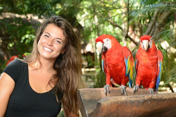 Xcaret Park Plus Access with Transportation and Night Show - Getting to and from the park from Playa del Carmen (and why pickup details matter)