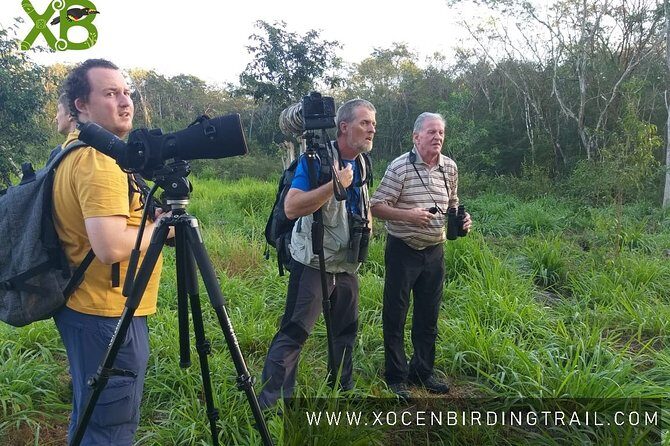 Xocen Birding - Key things to know before you go