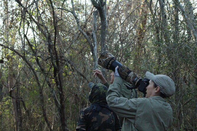 Xocen Birding - Value for money: what you’re really paying for