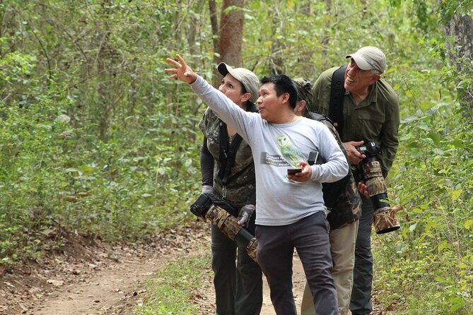 Xocen Birding - Who this tour is best for