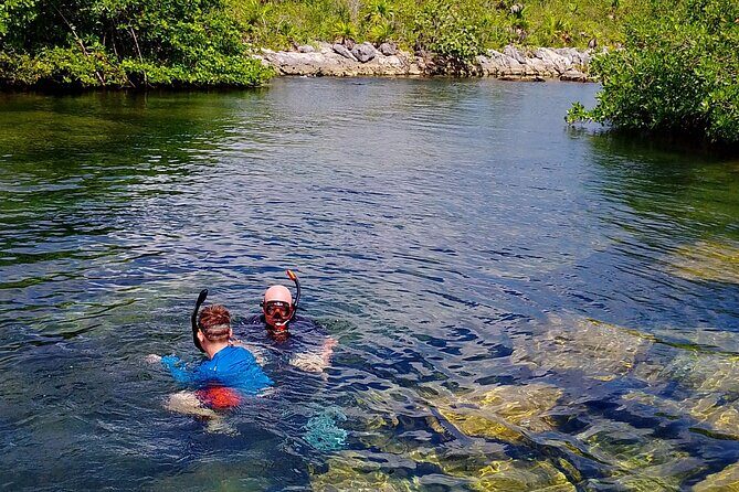 Yalku lagoon and turtles akumal sanctuary - Key points to know before you go